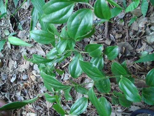 3044am永利集团官网