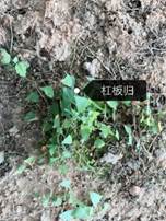 3044am永利集团官网