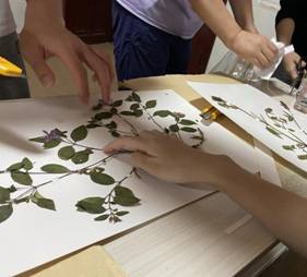 3044am永利集团官网