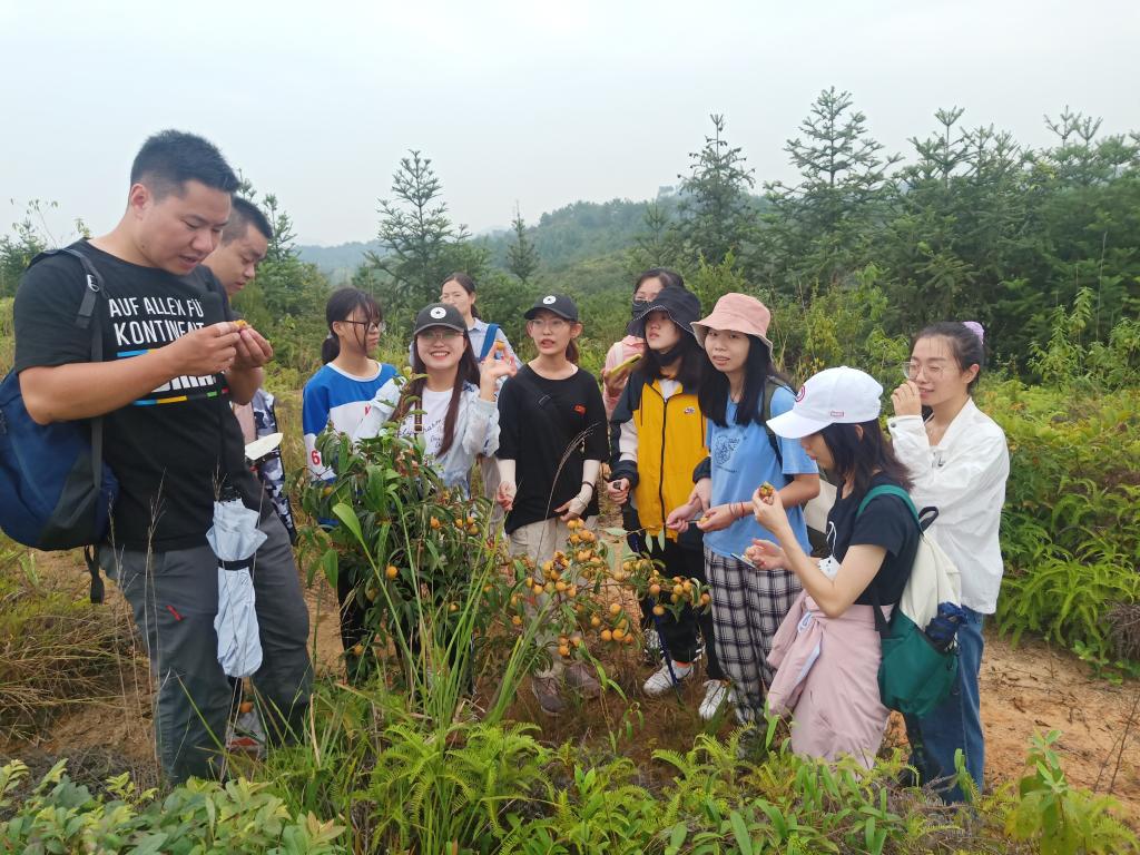 3044am永利集团官网