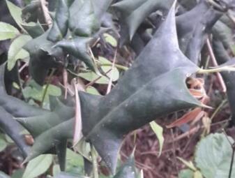 3044am永利集团官网