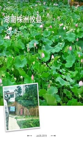 3044am永利集团官网