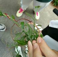 3044am永利集团官网