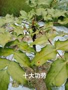 3044am永利集团官网