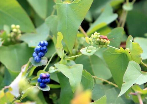 3044am永利集团官网