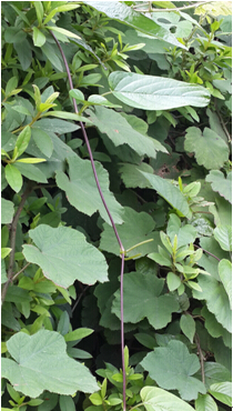 3044am永利集团官网