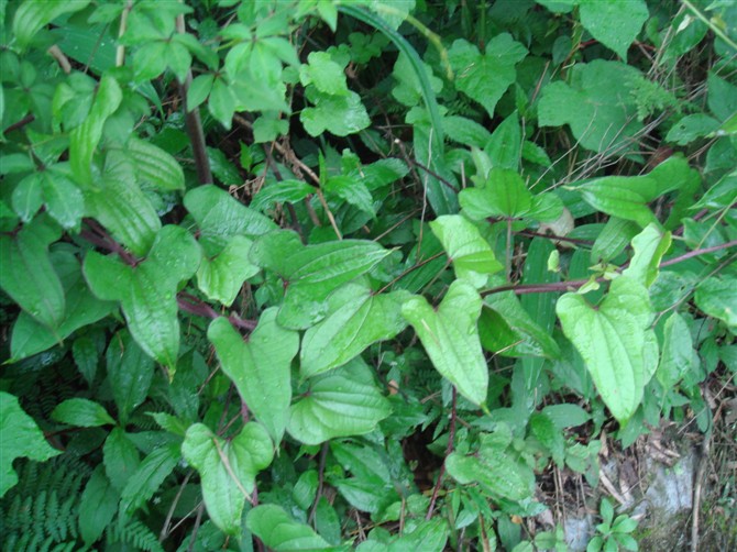 3044am永利集团官网