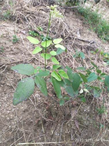 3044am永利集团官网