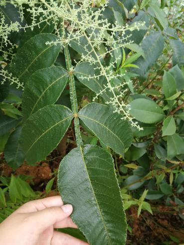 3044am永利集团官网