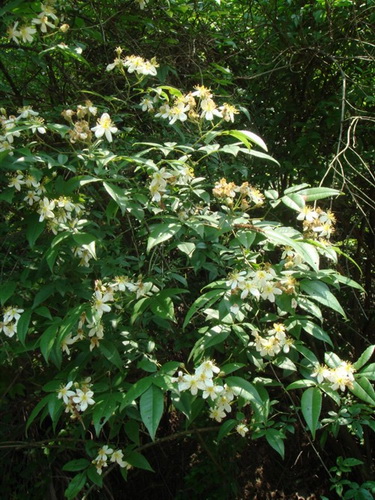 3044am永利集团官网