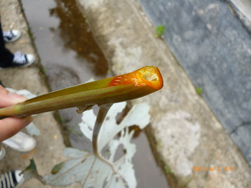 3044am永利集团官网