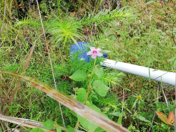 3044am永利集团官网