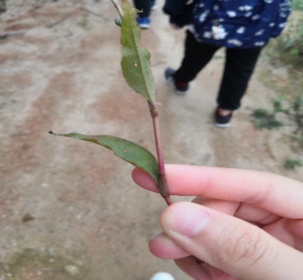 3044am永利集团官网