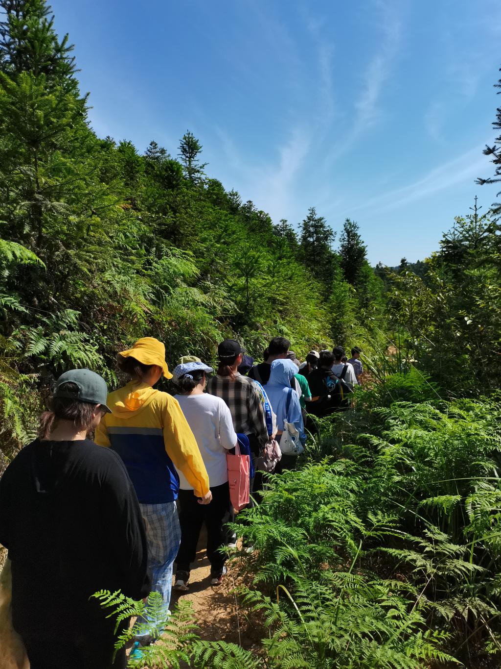 3044am永利集团官网