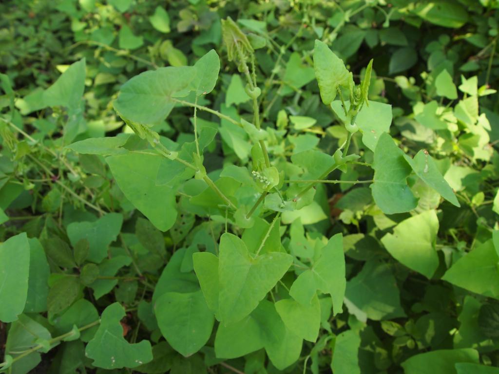 3044am永利集团官网