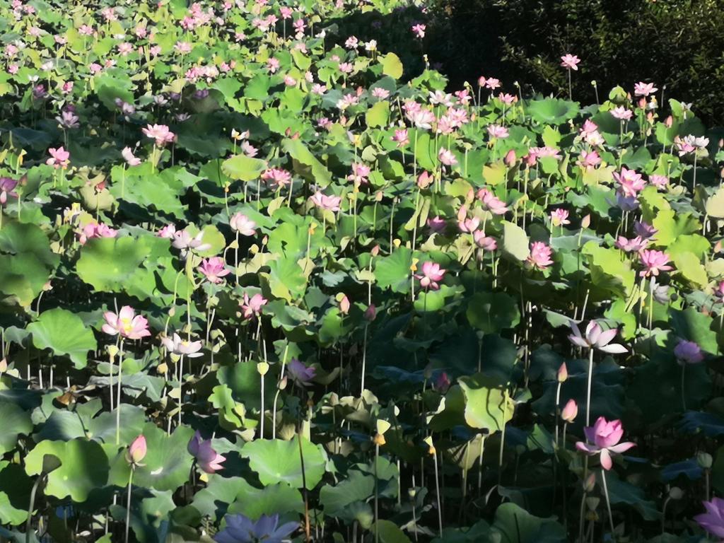 3044am永利集团官网