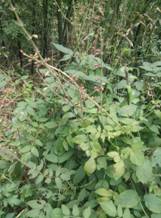 3044am永利集团官网