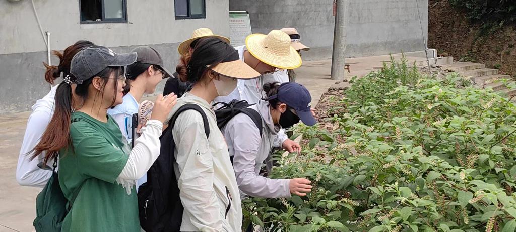 3044am永利集团官网