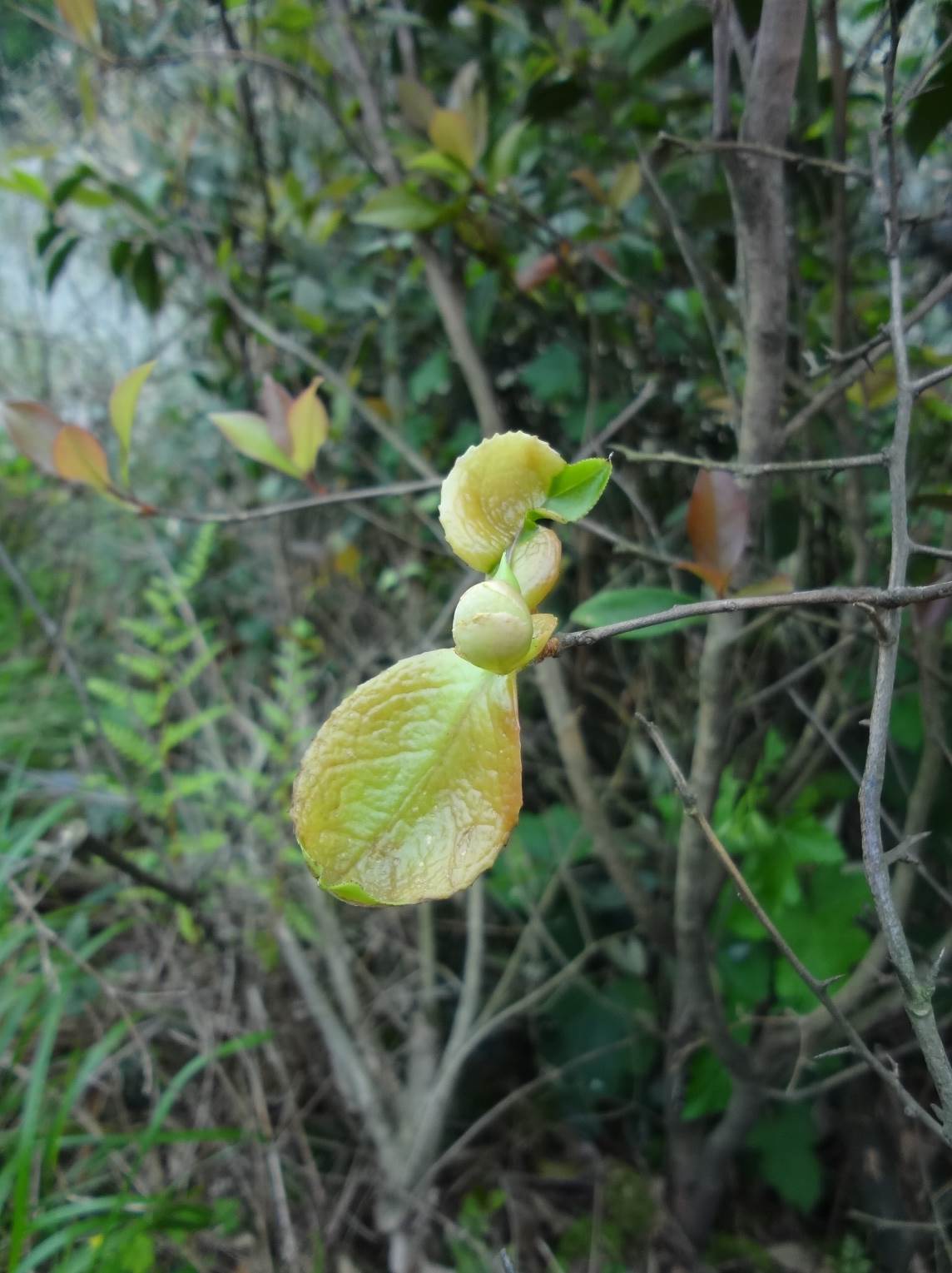 3044am永利集团官网