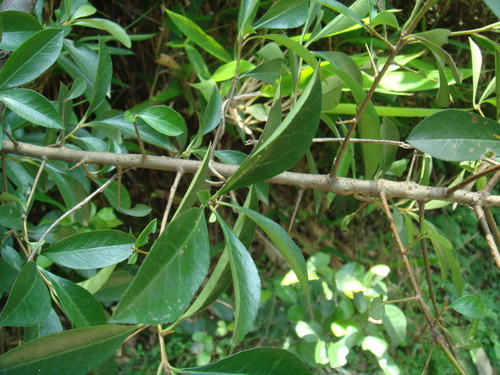 3044am永利集团官网