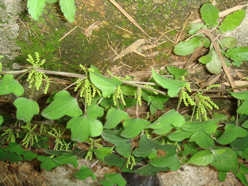 3044am永利集团官网