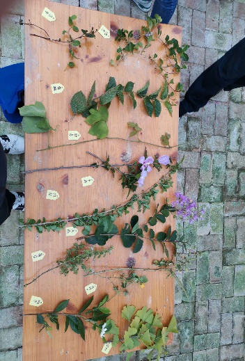 3044am永利集团官网