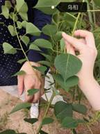 3044am永利集团官网