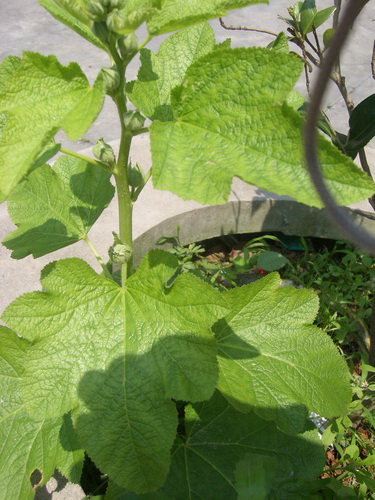 3044am永利集团官网