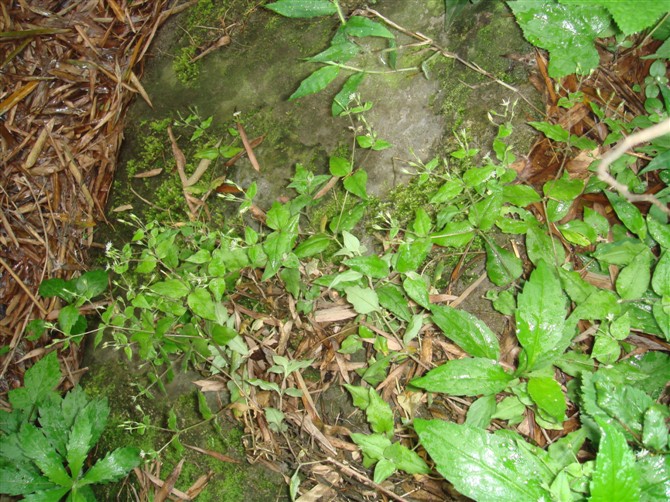 3044am永利集团官网