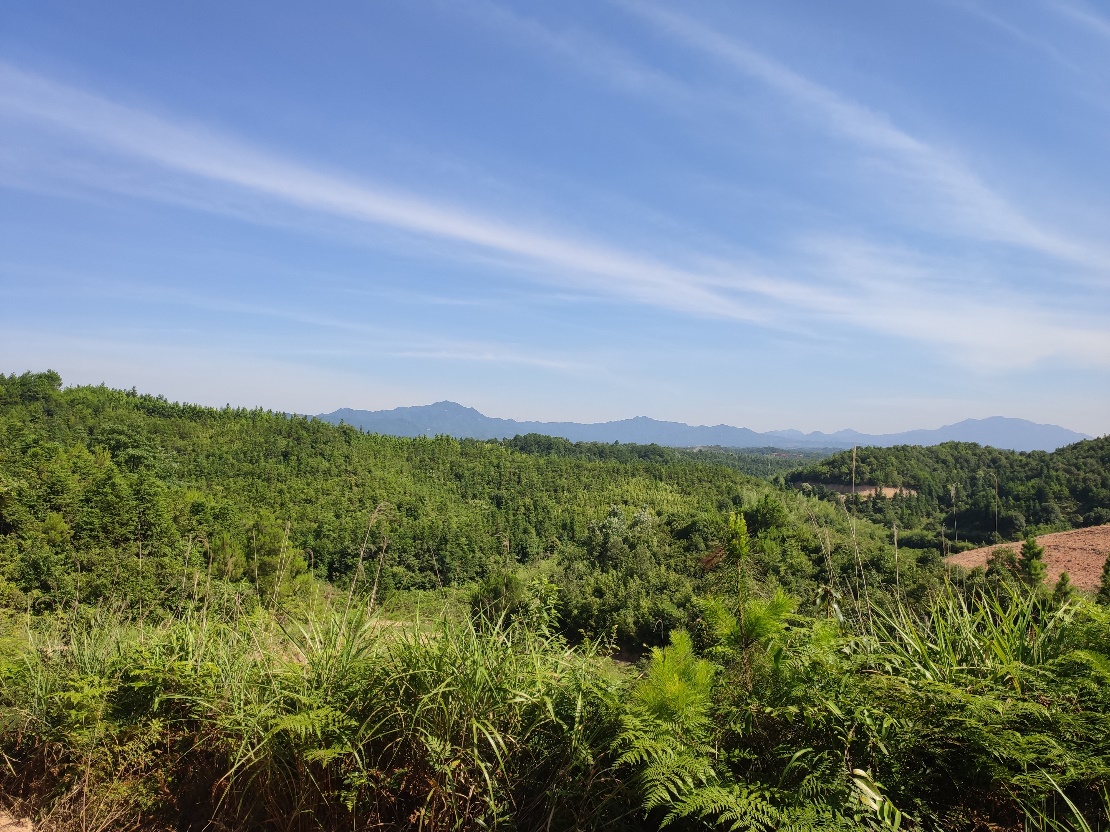 3044am永利集团官网