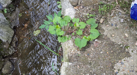 3044am永利集团官网