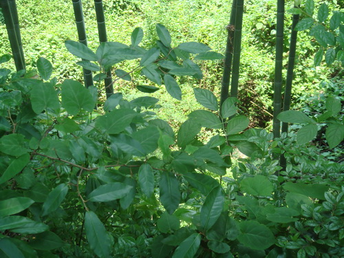 3044am永利集团官网