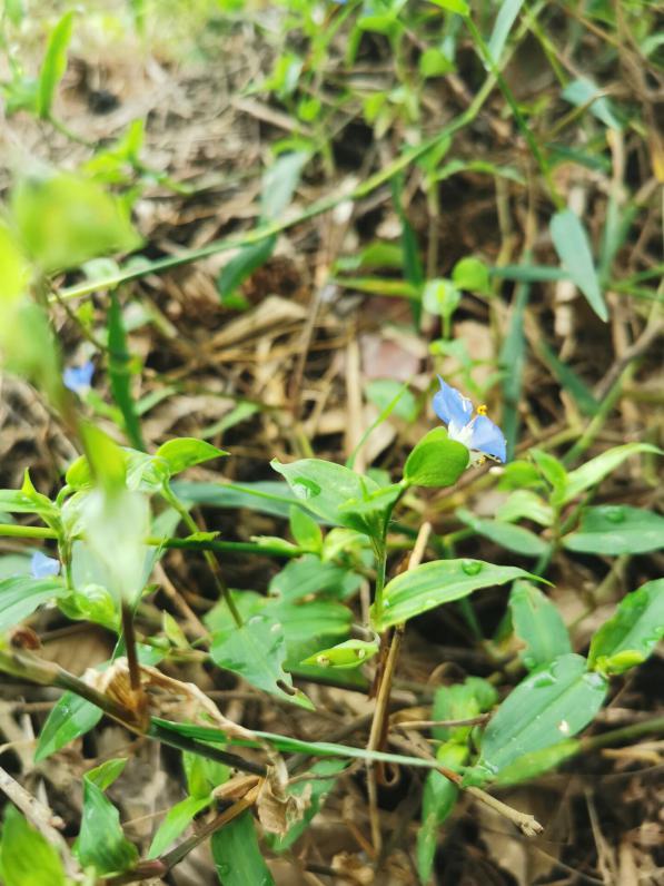 3044am永利集团官网