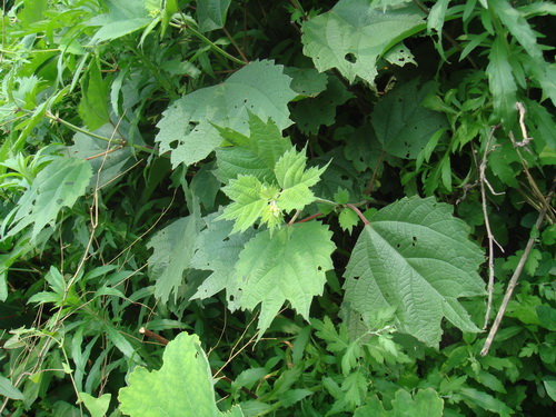 3044am永利集团官网