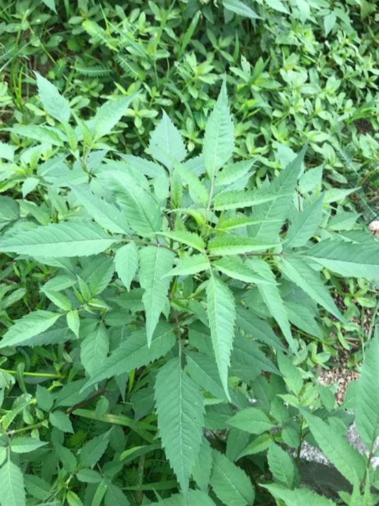 3044am永利集团官网