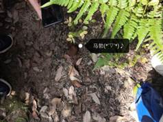 3044am永利集团官网