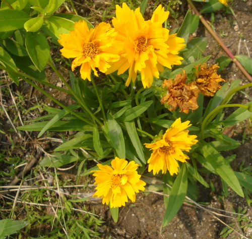 3044am永利集团官网