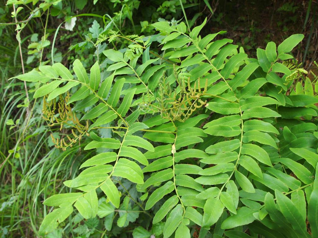 3044am永利集团官网