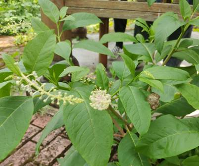 3044am永利集团官网