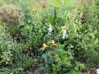 3044am永利集团官网