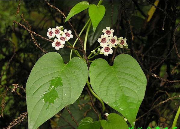 3044am永利集团官网