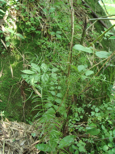 3044am永利集团官网