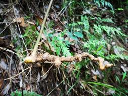 3044am永利集团官网