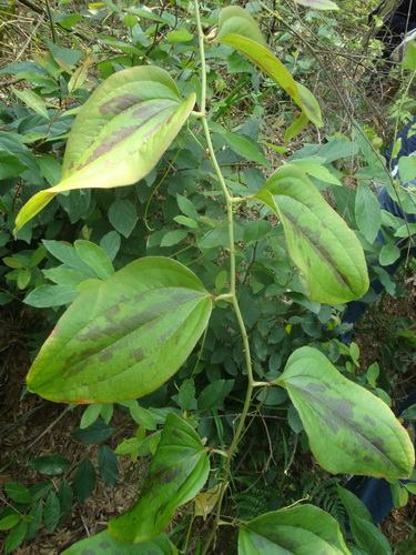 3044am永利集团官网