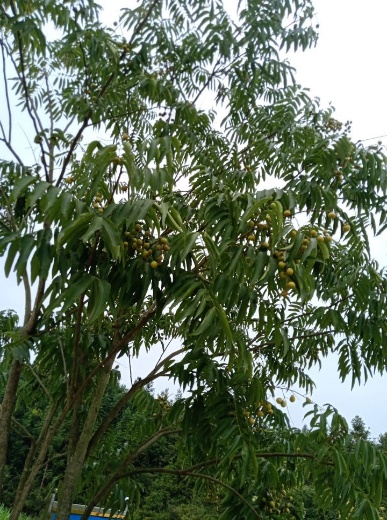 3044am永利集团官网