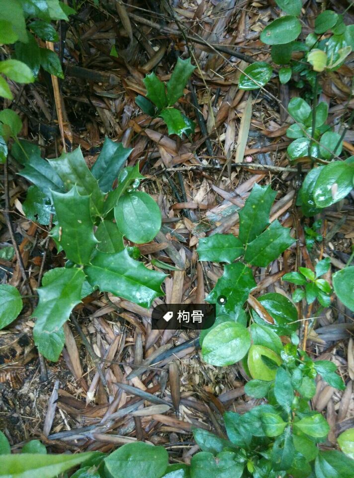 3044am永利集团官网