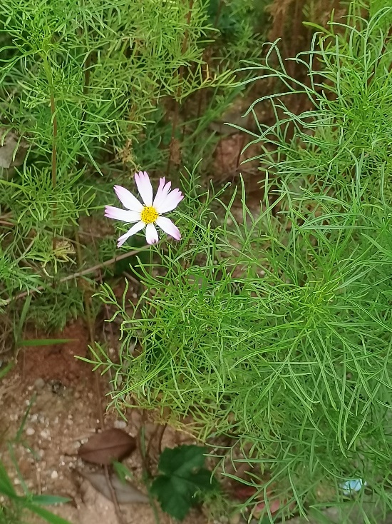 3044am永利集团官网