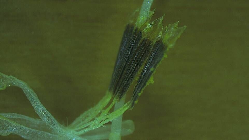 3044am永利集团官网