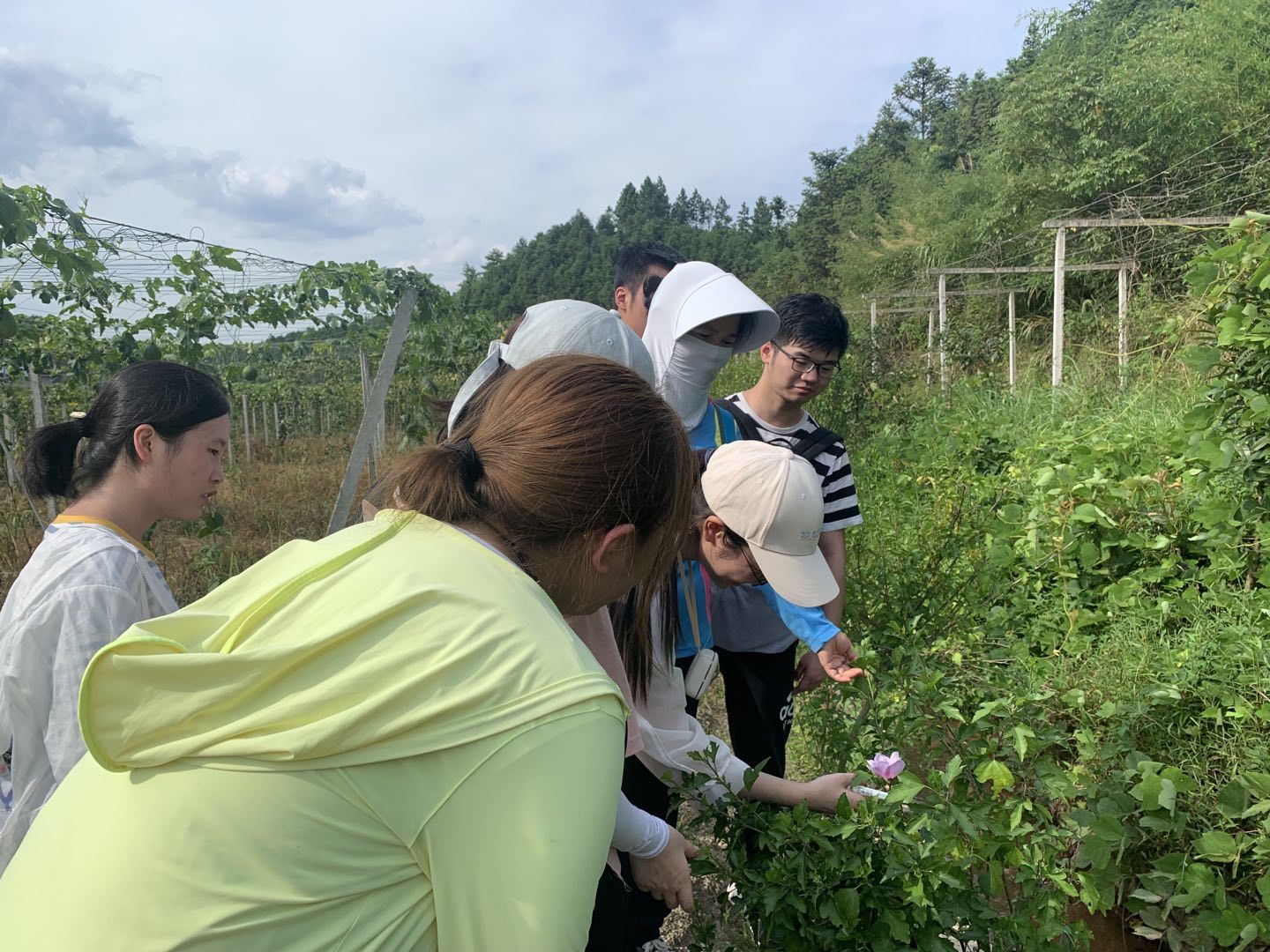 3044am永利集团官网