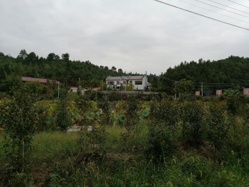 3044am永利集团官网